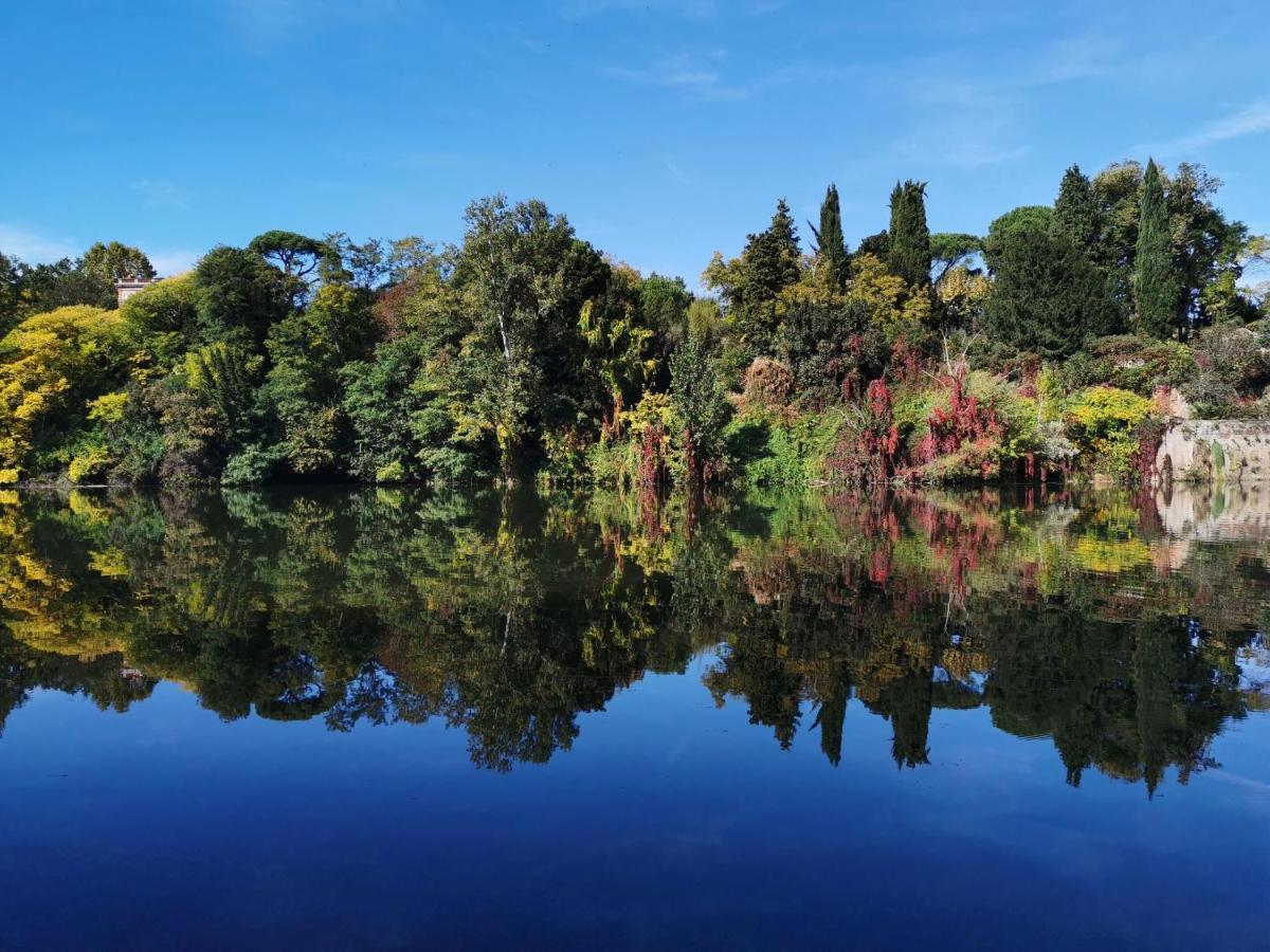 Le Castelviel * Albi
